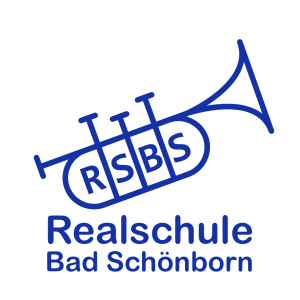 Schüler der Realschule Bad Schönborn spielen beim Adventskonzert des Schulamtes Karlsruhe